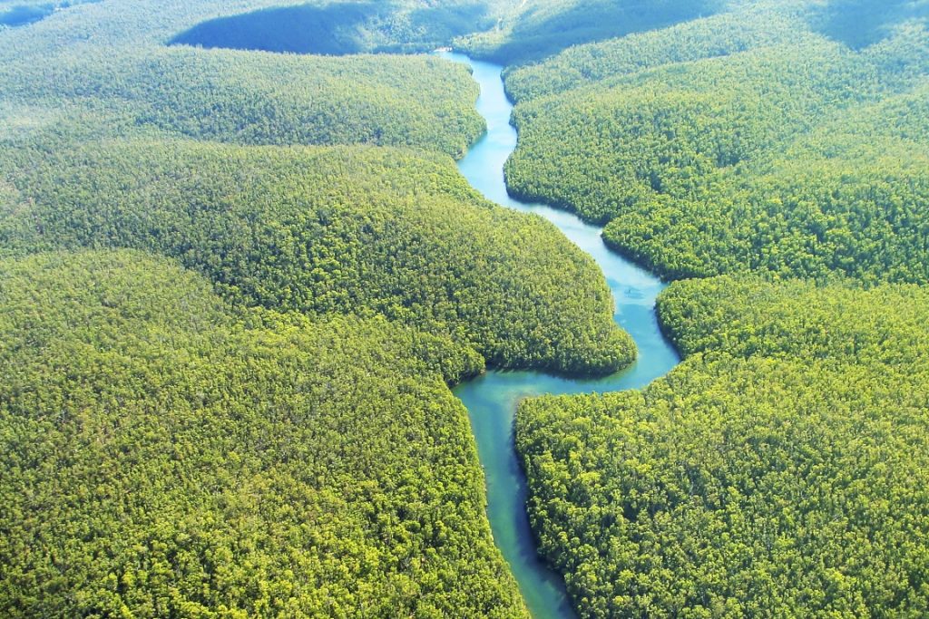 Camila Pitanga dá voz à Amazônia na campanha A Natureza está Falando o eco