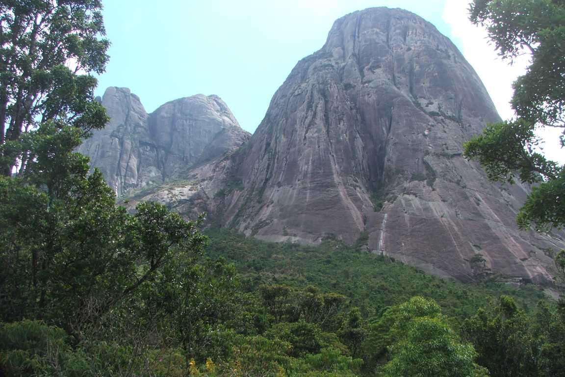 Parque Estadual dos Três Picos Refúgio para anfíbios na Mata Atlântica