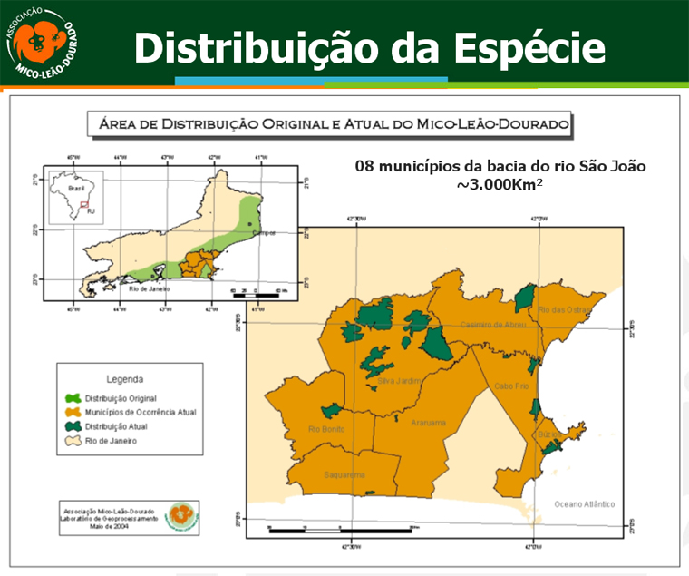 Deu Mico O Eco