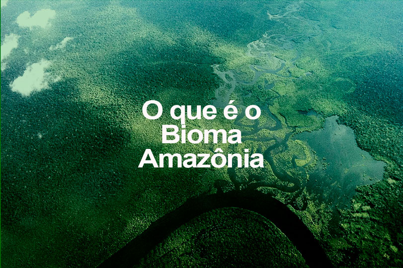 Floresta  amazonia