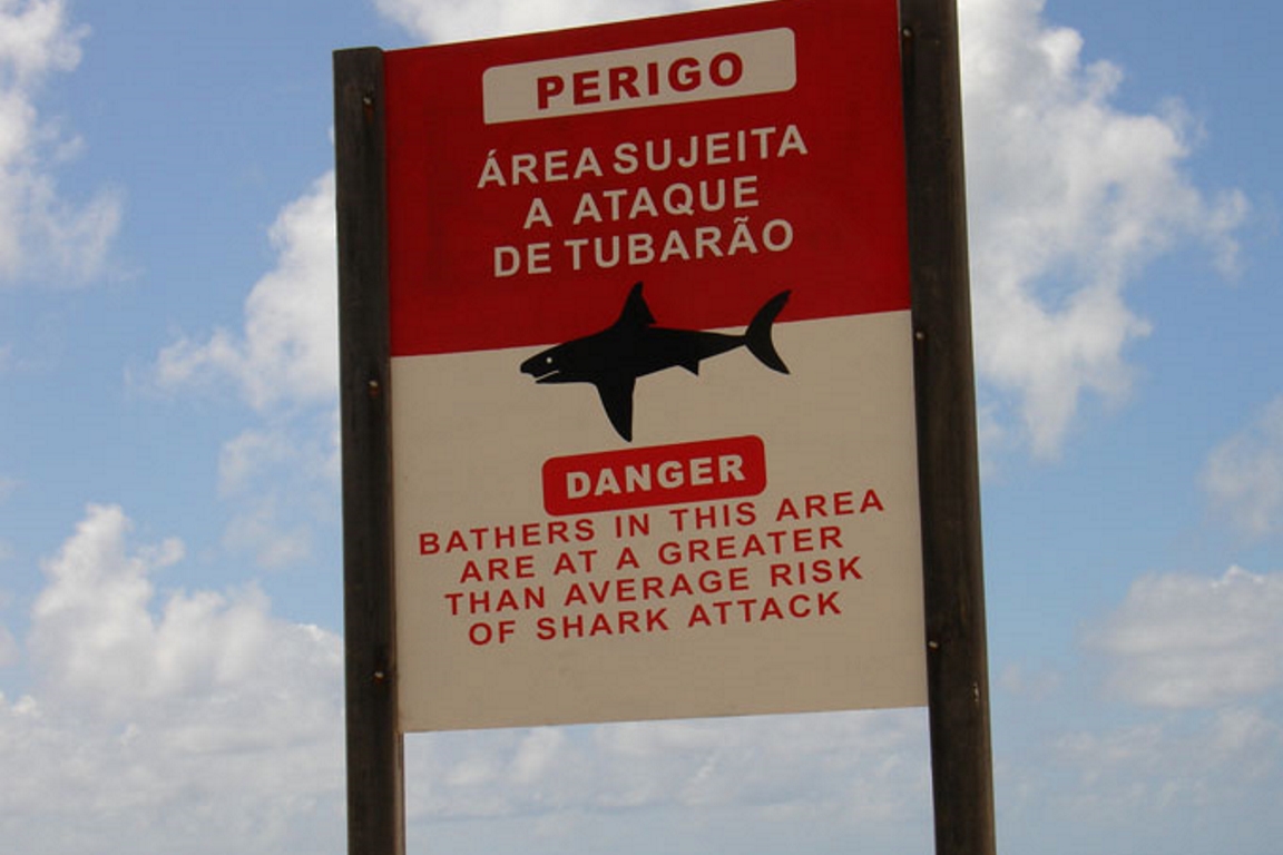 Descubra os locais com maior ocorrência de ataques de tubarão no mundo