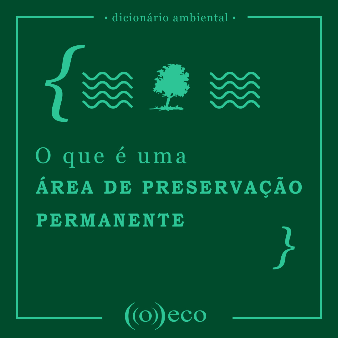 O que é uma Área de Preservação Permanente - ((o))eco