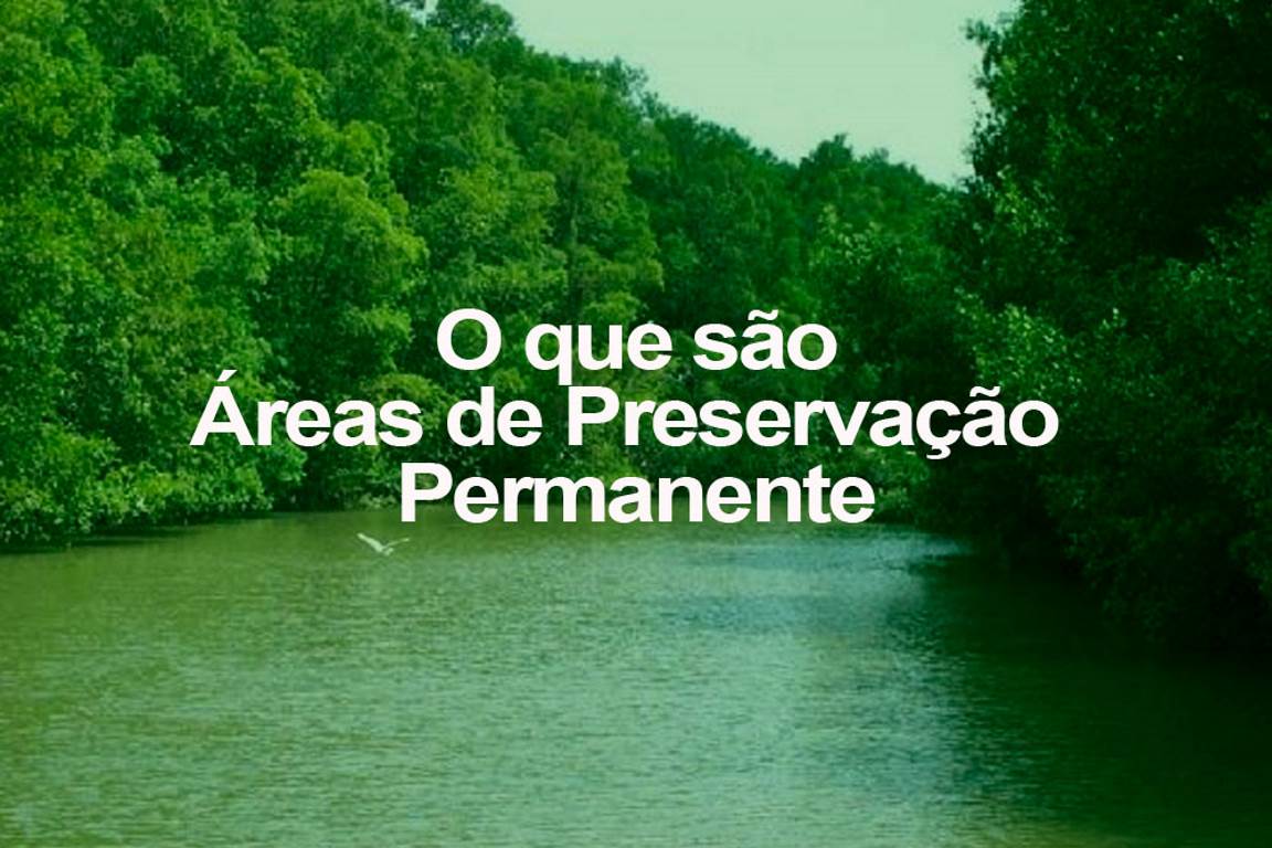 O Que E Uma Area De Preservacao Permanente O Eco