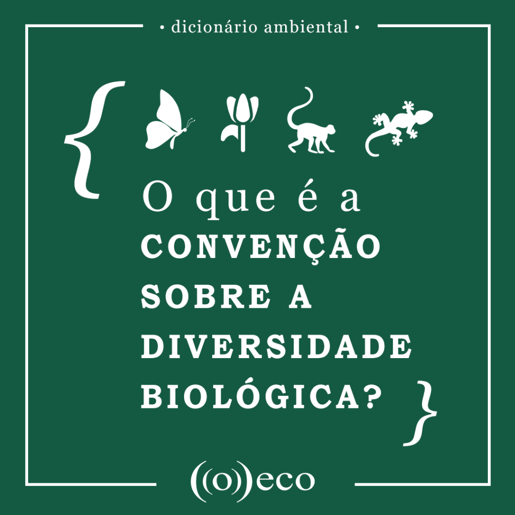 O que é a Convenção sobre a Diversidade Biológica o eco