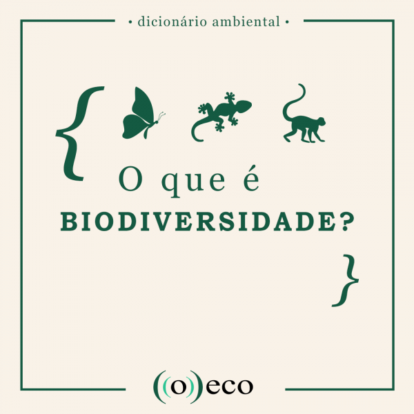 O Que é Biodiversidade Oeco 7066