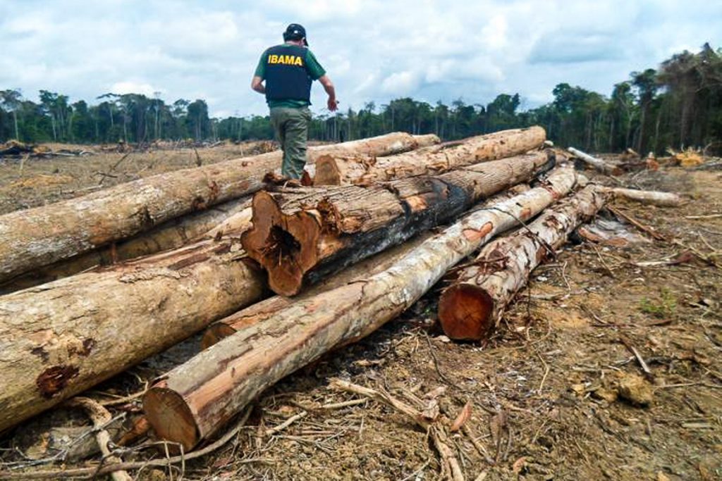 Fato Inédito Desmatamento Na Amazônia Cresce Mesmo Com Recessão Econômica Oeco 9089