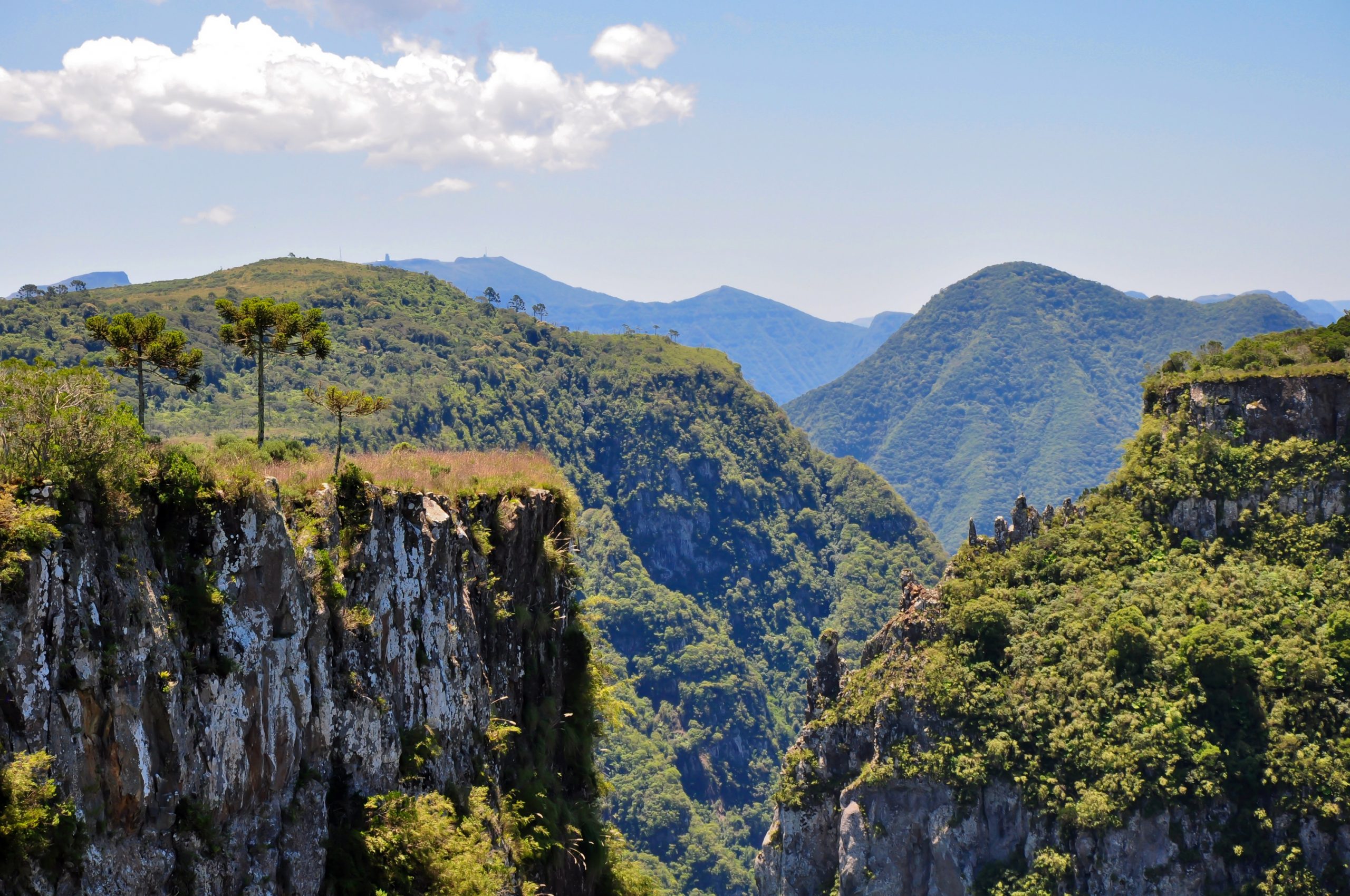 Um caminho acima e por entre as nuvens na Serra dos Órgãos - ((o))eco