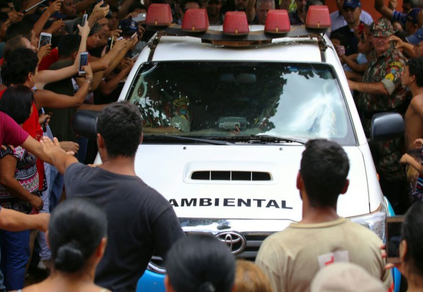Após a captura onça foi levada para exames. Foto: Franz Mendes