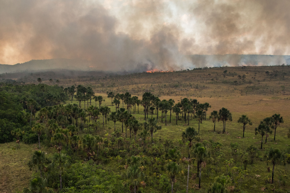 Cerrado tem recorde de queimadas em maio; número é o maior desde 1998