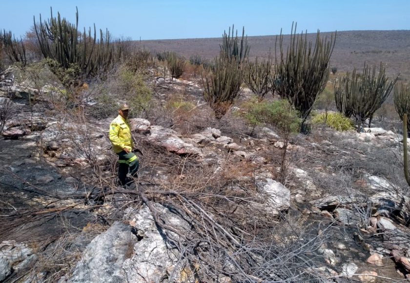 Calculando o tamanho do estrago. Foto: Divulgação.