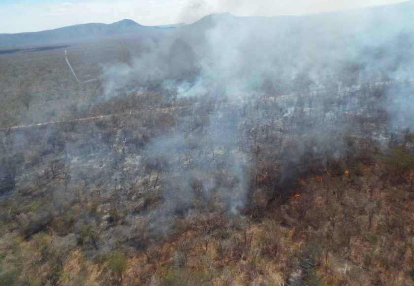 Incêndio foi controlado na quarta. Foto: Divulgação