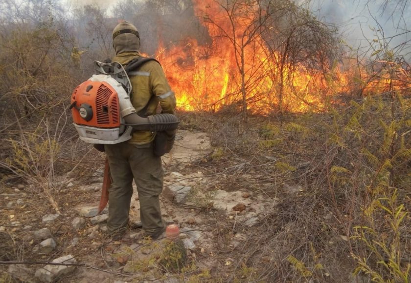 Brigadista combate fogo em Boqueirão da Onça.  Foto: Divulgação