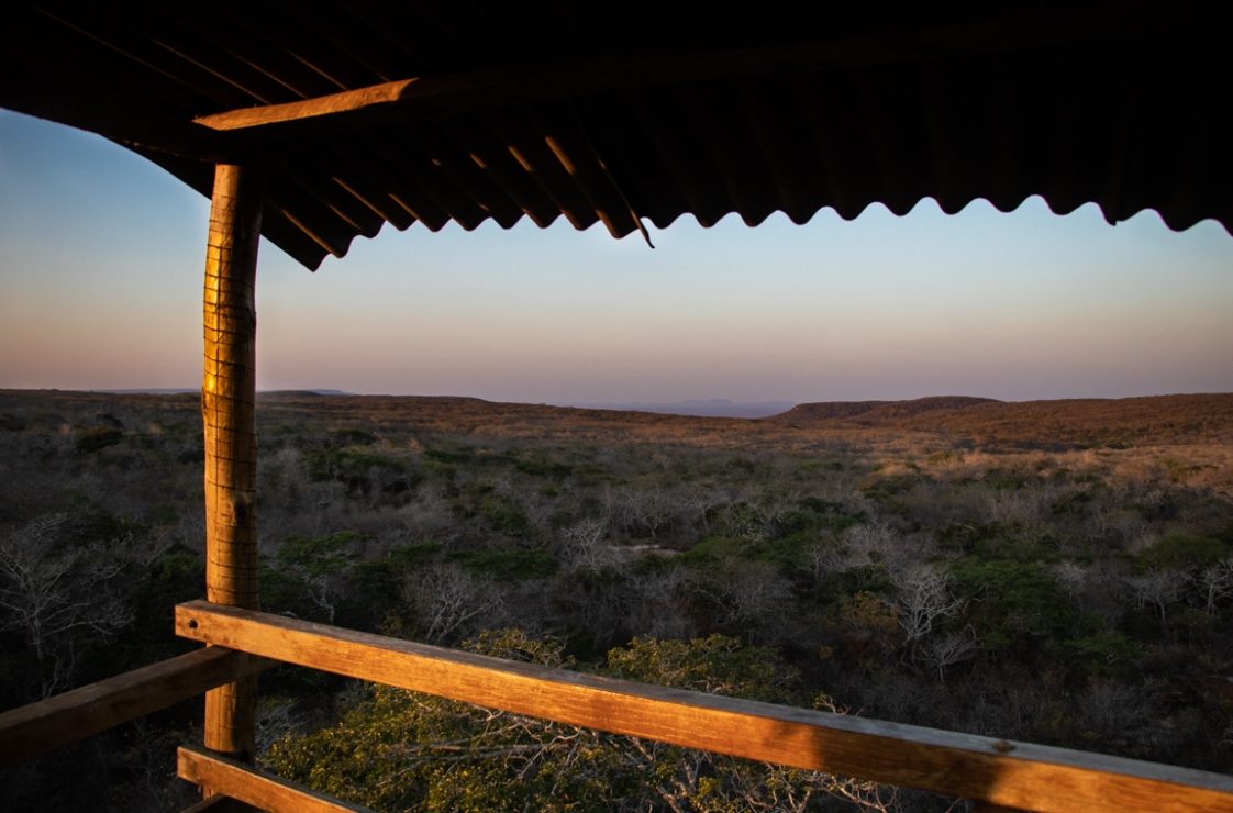 Visual panorâmico a partir da torre de observação da reserva. Foto: Duda Menegassi.