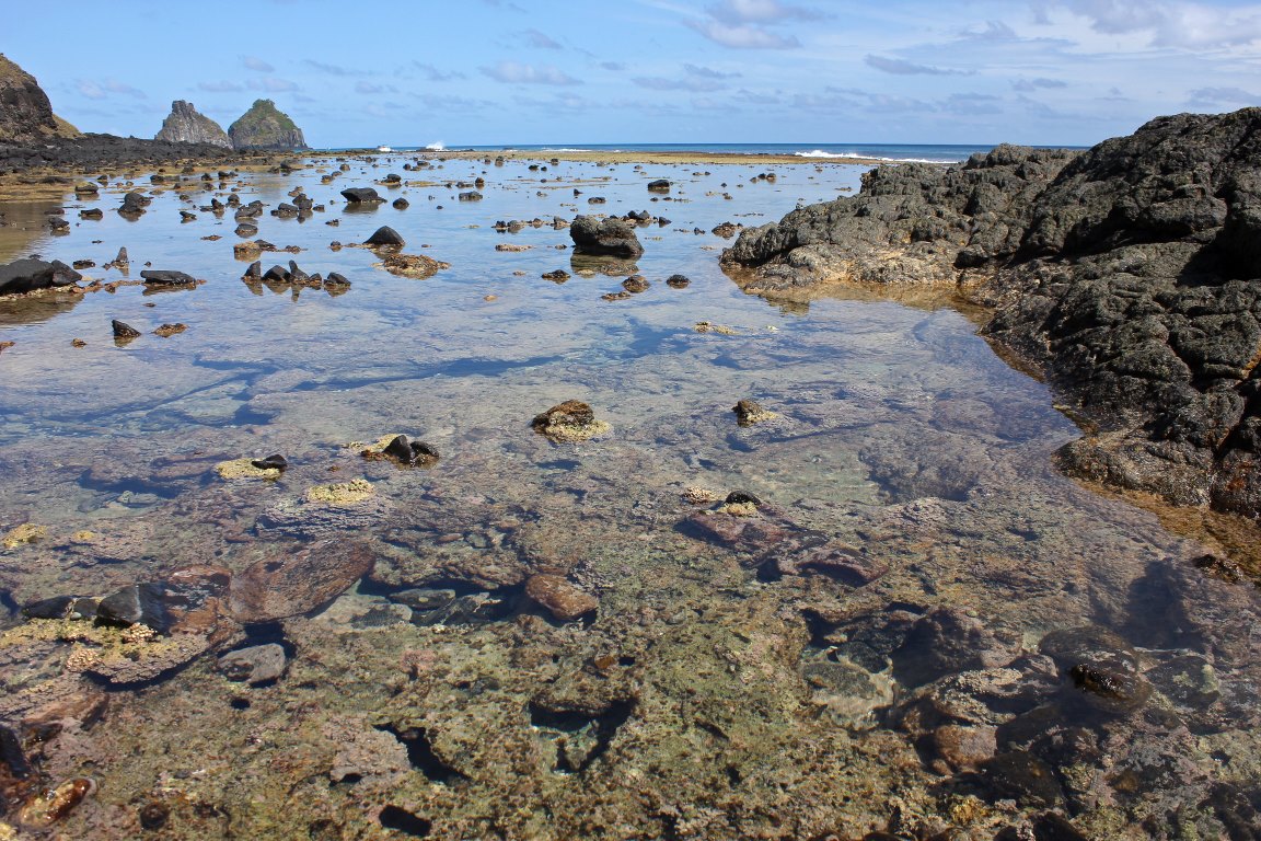 Oceanógrafo de Fernando de Noronha é transferido à revelia para cuidar de floresta no sertão