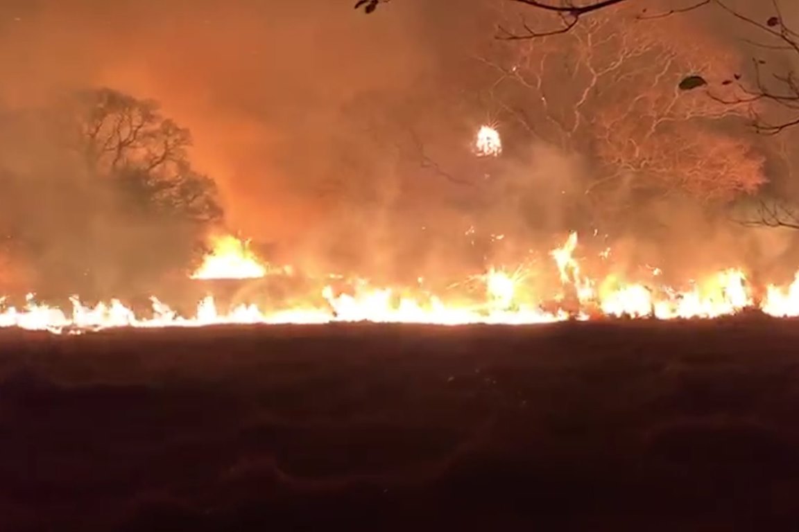 Incêndio no Pantanal atinge 61% do Refúgio Ecológico Caiman, santuário das araras azuis