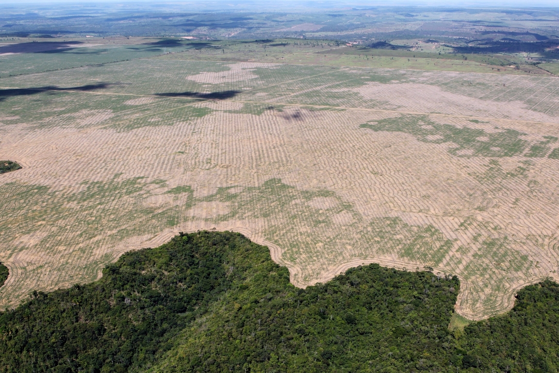 Desmatamento na Amazônia aumentou 80% em setembro, diz Imazon