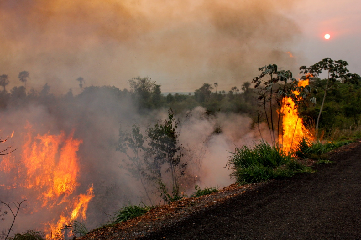 Incêndio no Pantanal atinge 2.430 focos em outubro, pior ...