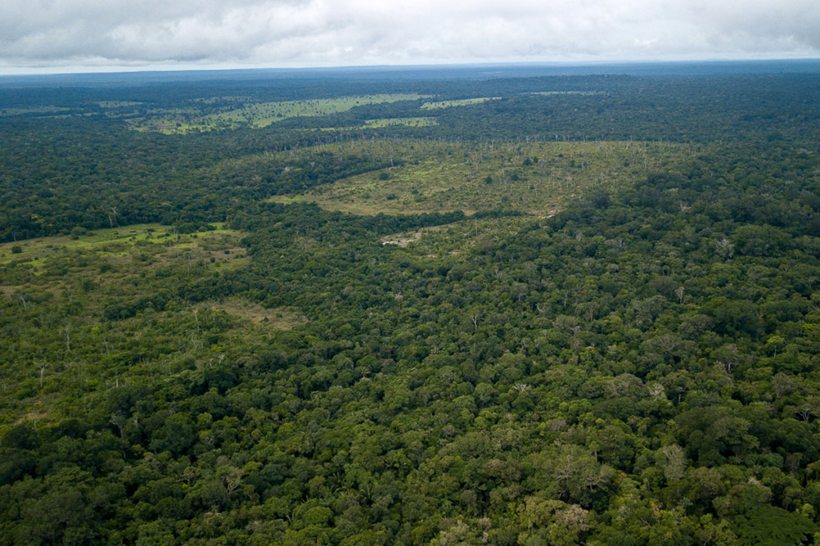 Amazônia perdeu área equivalente a 8 cidades do RJ entre 2018 e 2019, aponta sistema Prodes