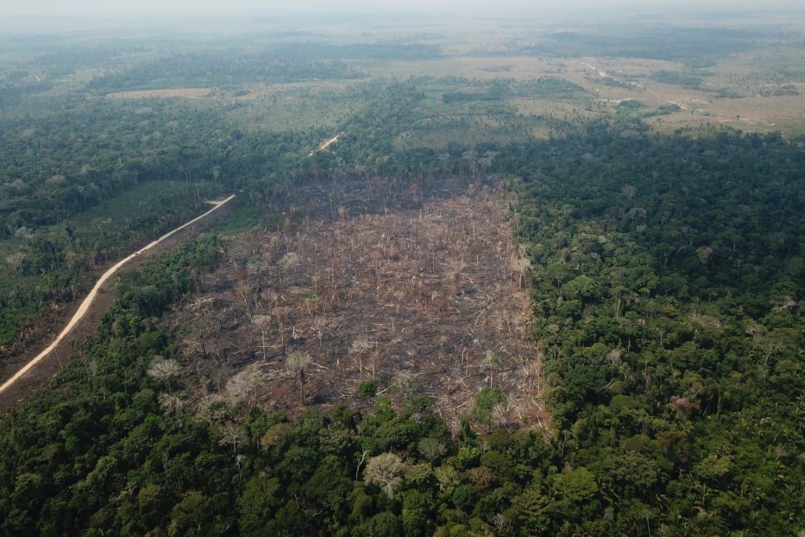 Desmate deve passar de 10 mil km2, dizem cientistas