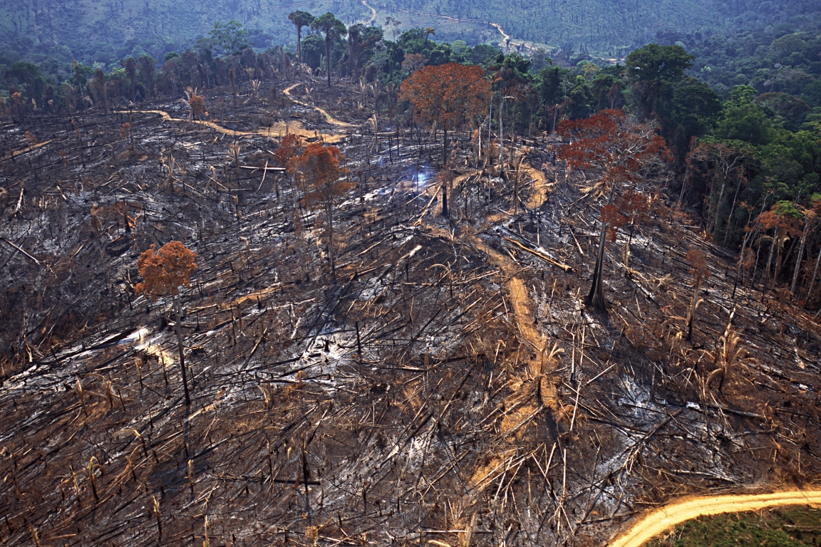 Retrospectiva: Aumento do desmatamento fez Amazônia pegar fogo em 2019