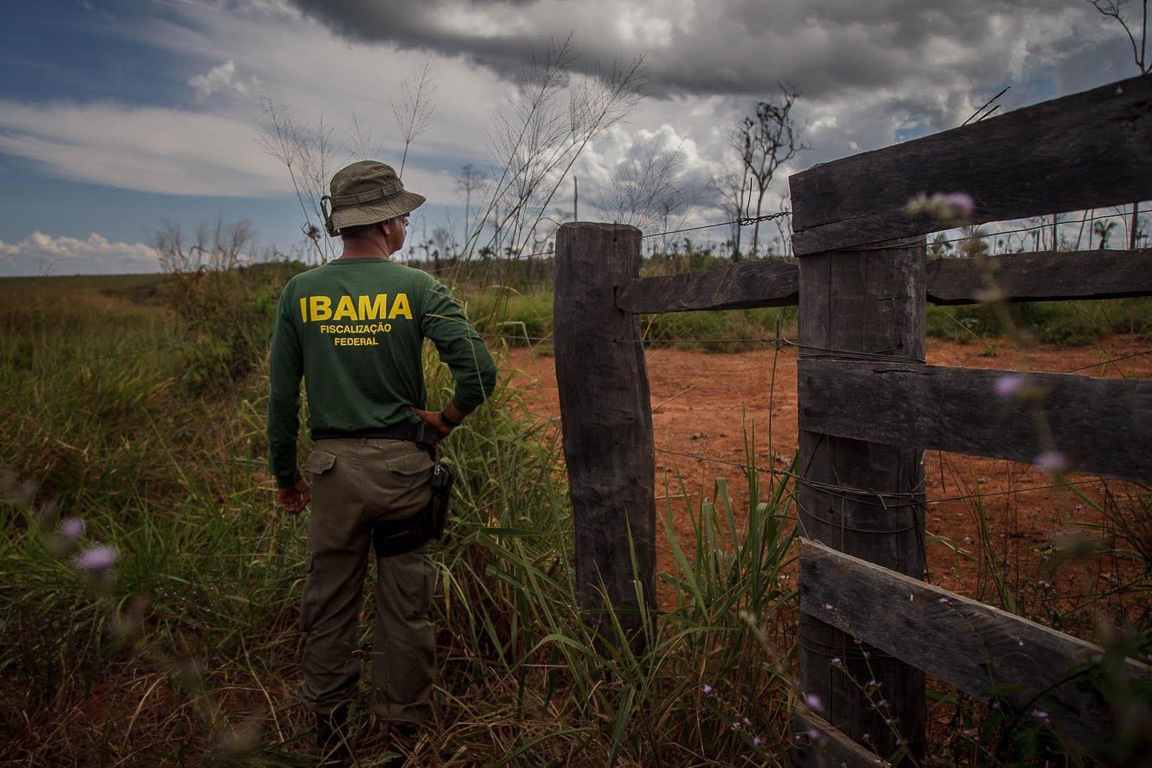 Em 25 anos, estados do sul somam mais de R$ 3 bilhões de multas ambientais não pagas