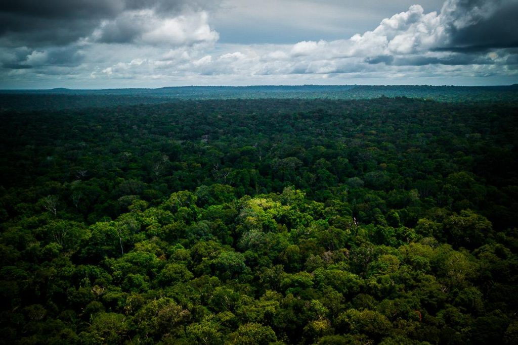 Alternativa Ao Fundo Amazônia Estratégia De Financiamento Do Pará