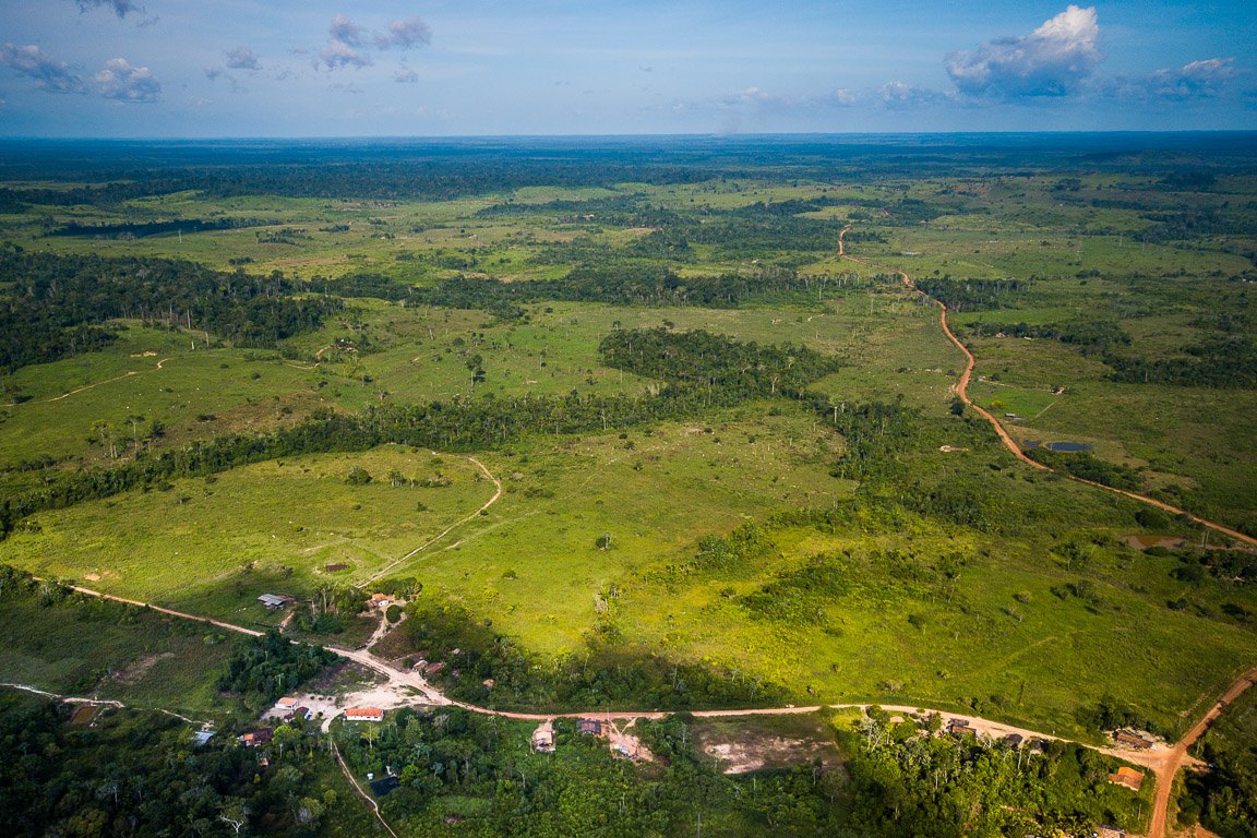 Desmatamento na Amazônia ultrapassa 10 mil km2 e tem maior índice desde 2008