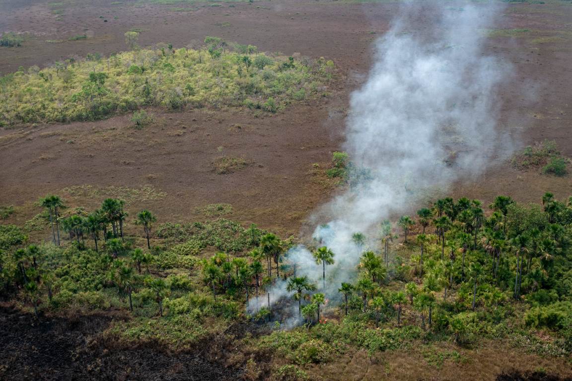 Área de 3 cidades de São Paulo pode queimar na Amazônia em 2020, diz IPAM