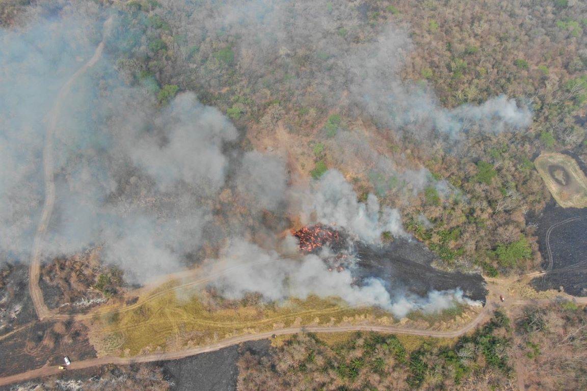 Queimadas No Pantanal Aumentam 189 Em Relação A 2019 E Batem Recorde