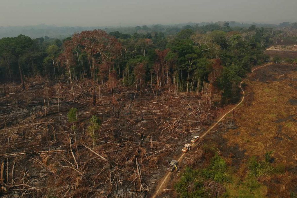 Desmatamento Na Amazônia Chega A 11088 Km² E é O Maior Em 12 Anos Oeco 0279