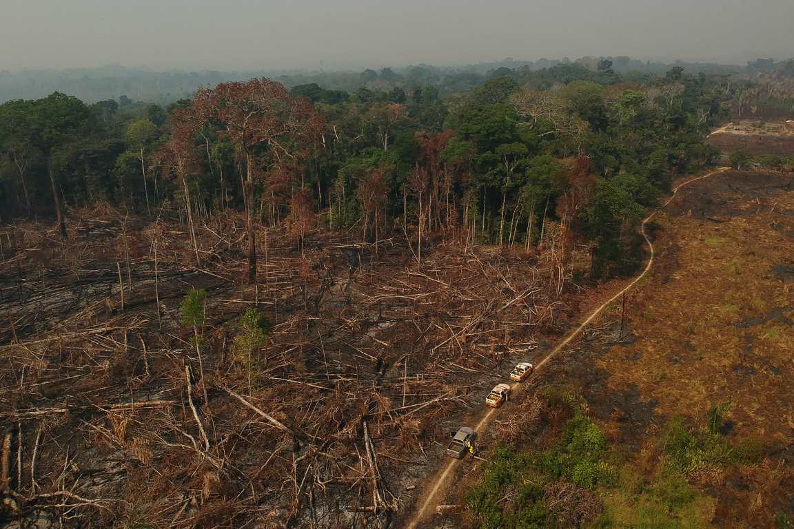 Crise climática: seca severa na Amazônia é agravada por desmatamento e fogo