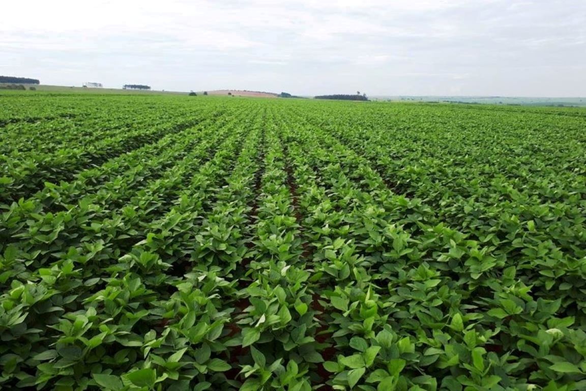 Manifesto pede revogação de decreto que adia georreferenciamento de imóveis rurais - ((o))eco