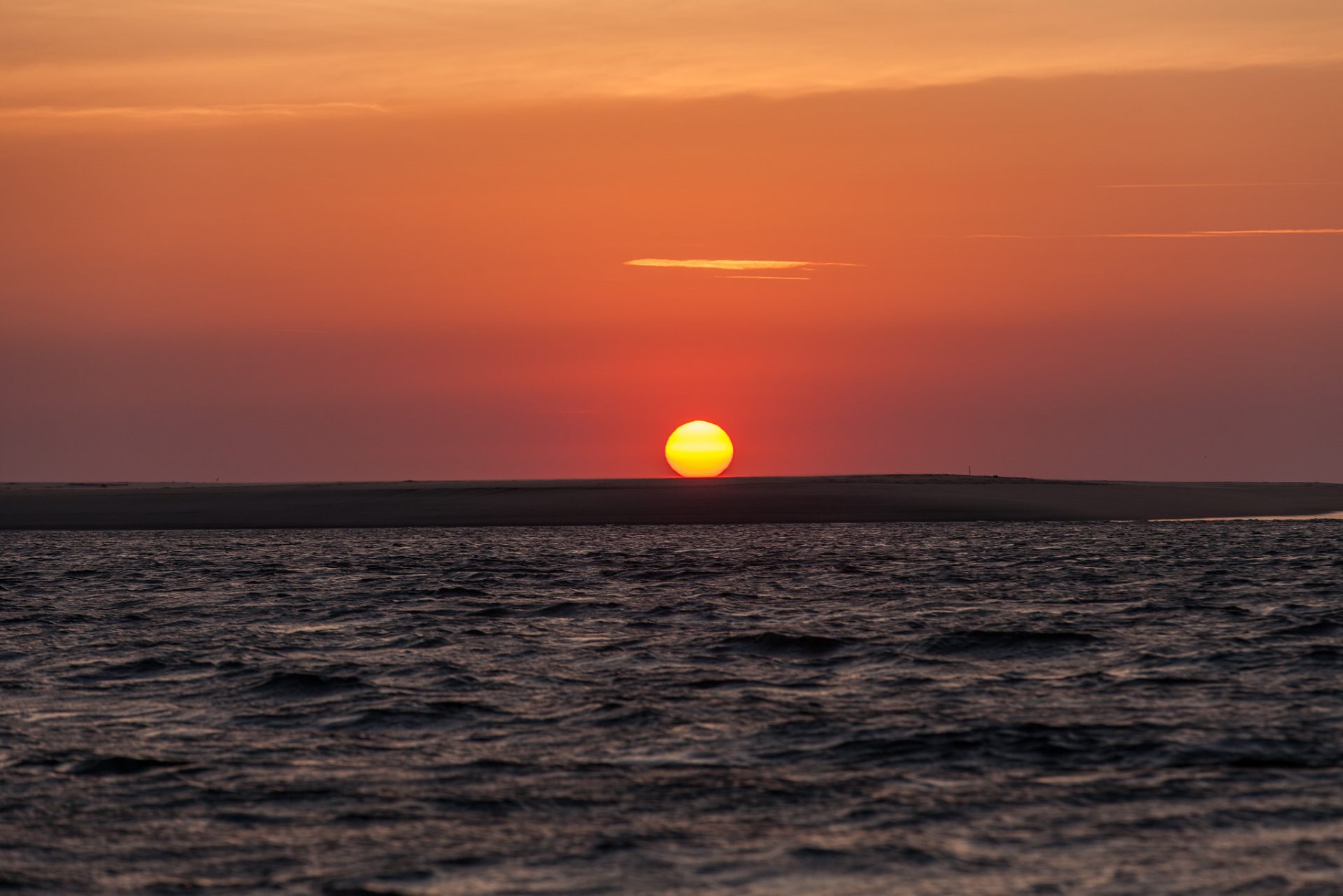 ‘Ondas de calor estão se tornando mais letais’, alerta pesquisador