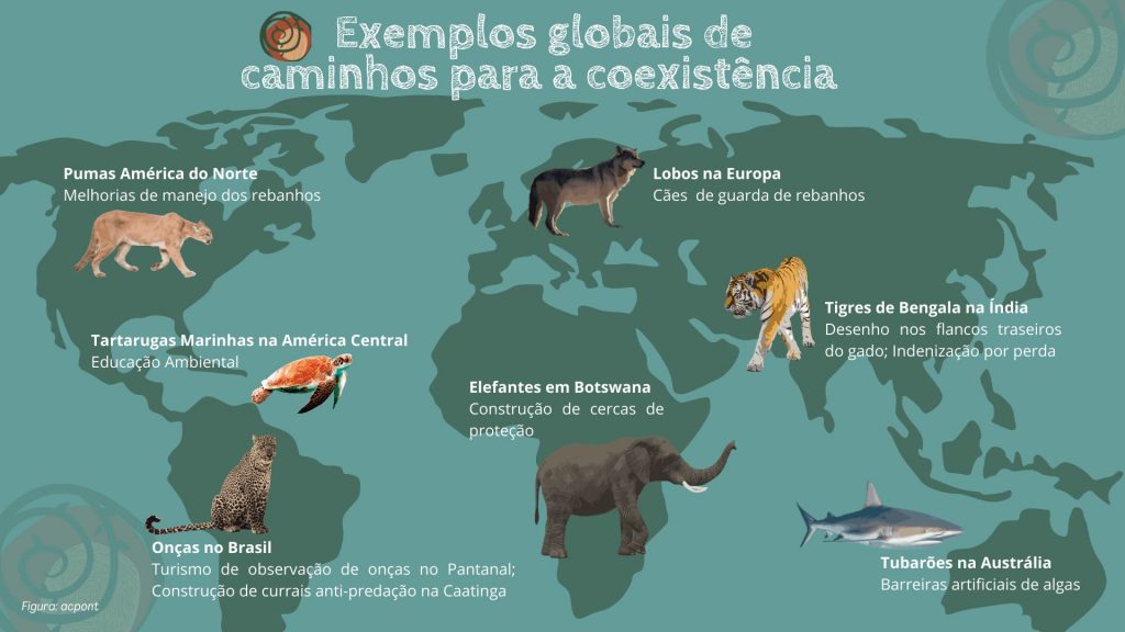 A Arte Da Conservacao Tecendo Caminhos Para A Coexistencia O Eco