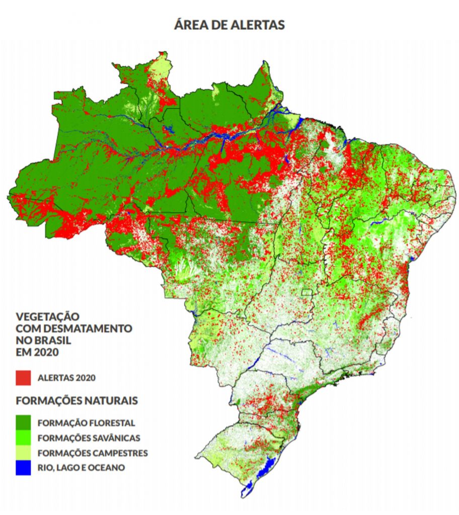 Relatório Mostra Que 998 Dos Desmatamentos No Brasil Em 2020 Foram Ilegais Oeco 2585