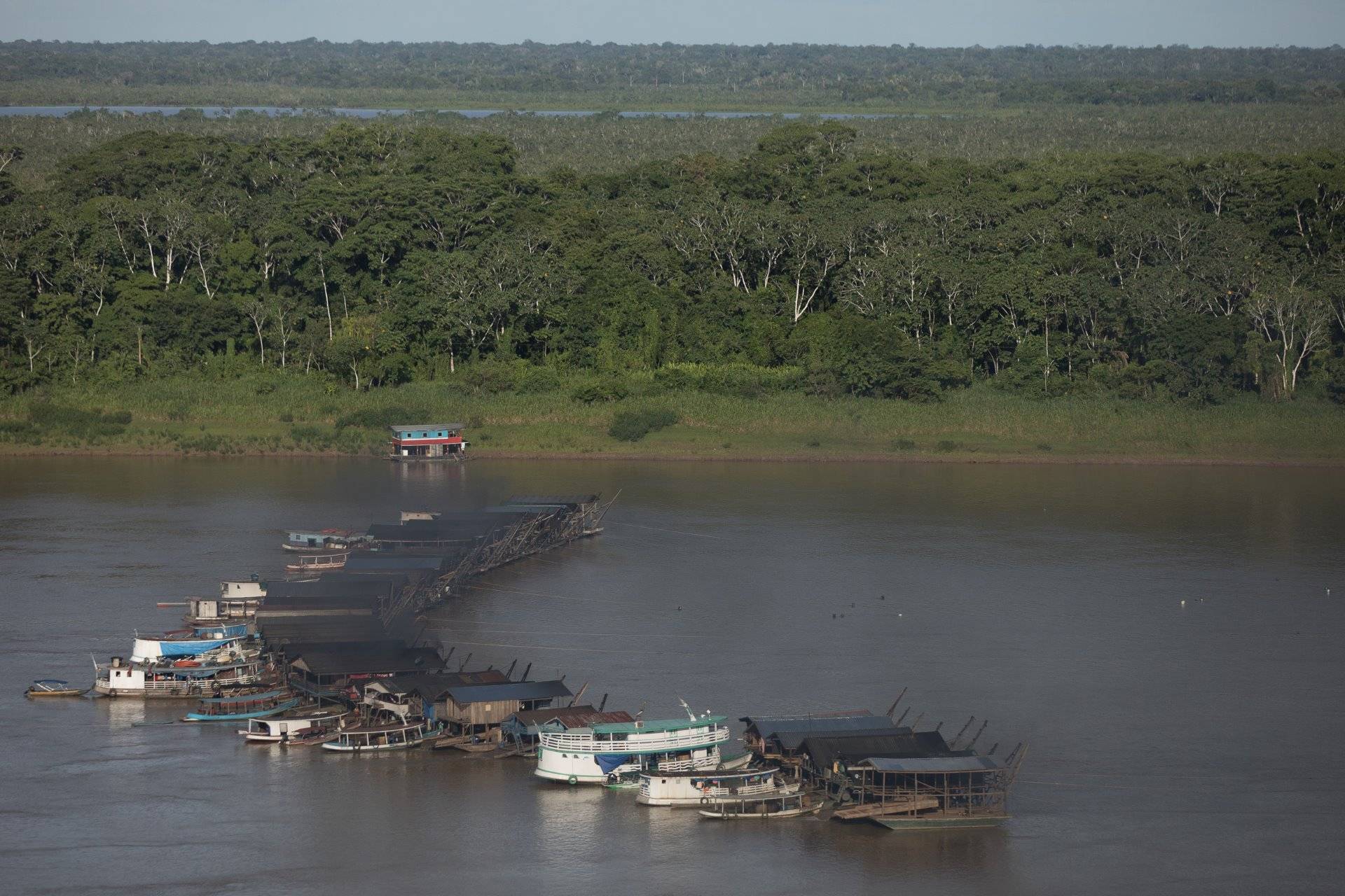 Desenvolvimento amazônico sequestrado pelo crime organizado