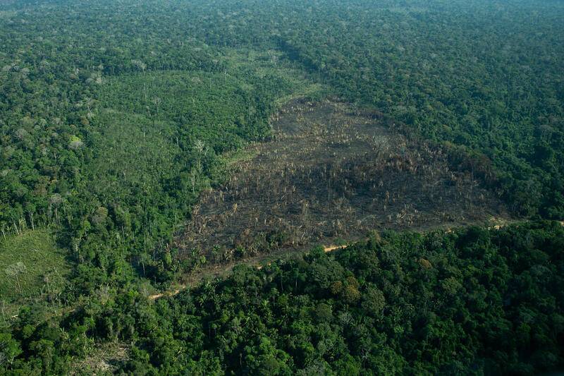 Ponto de não-retorno Amazônia desmatamento