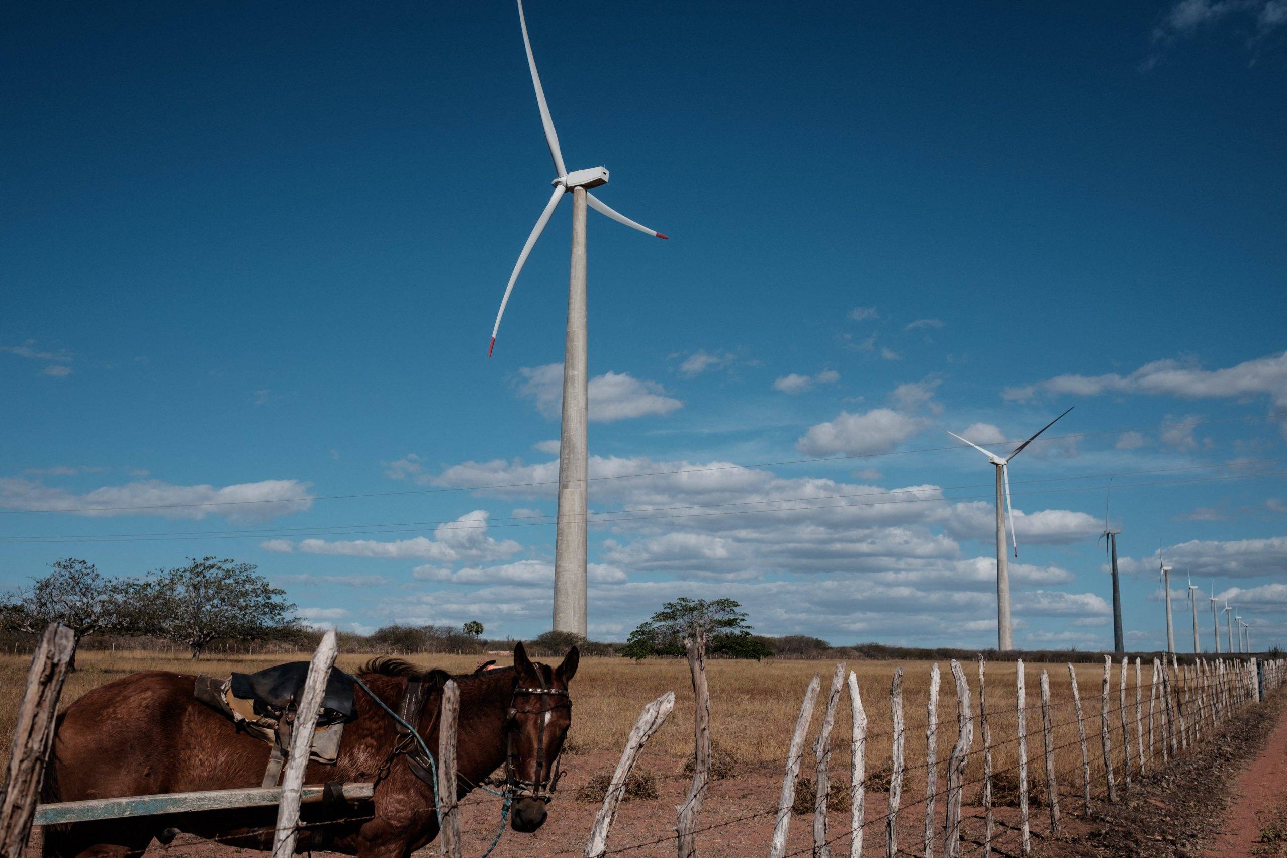 ONGs energia eólica caatinga