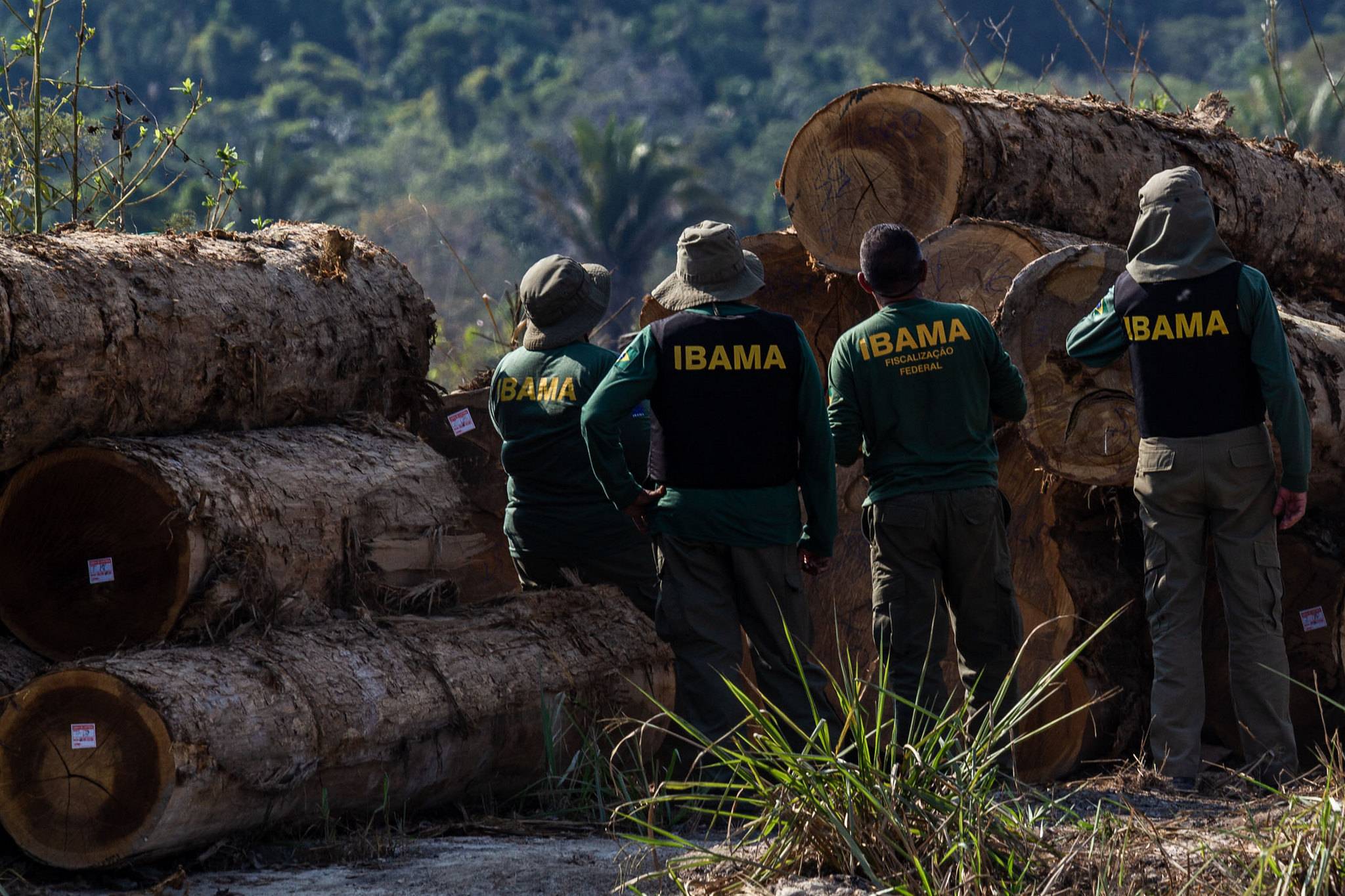 Fiscais do Ibama em operação contra desmatamento ilegal em Espigão do Oeste (RO), em julho de 2019. Órgão teve o setor desmobilizado durante o governo Bolsonaro. Foto: Fernando Augusto/Ibama.

