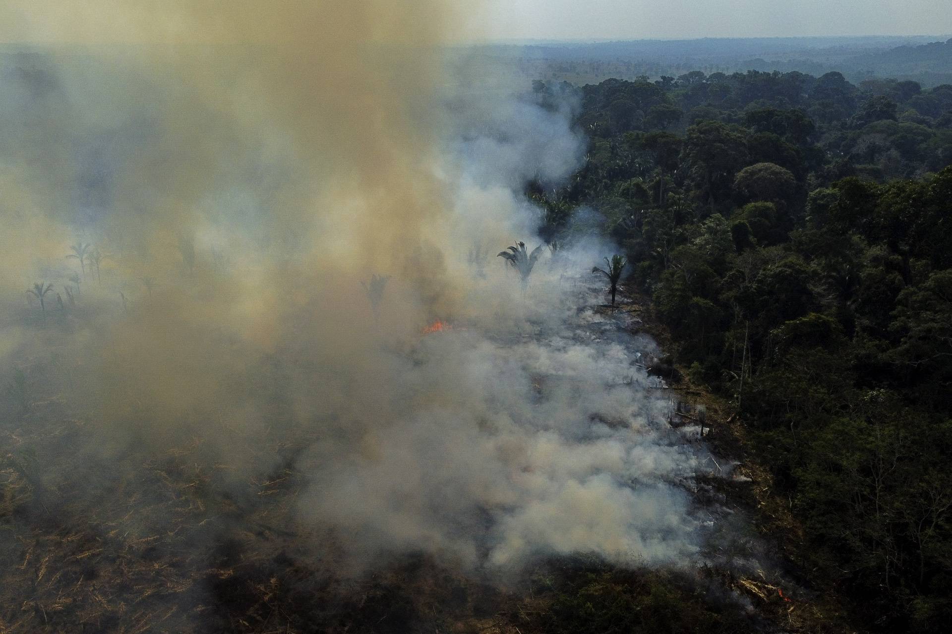 Queimadas na Amazônia caem 33% no mês de janeiro