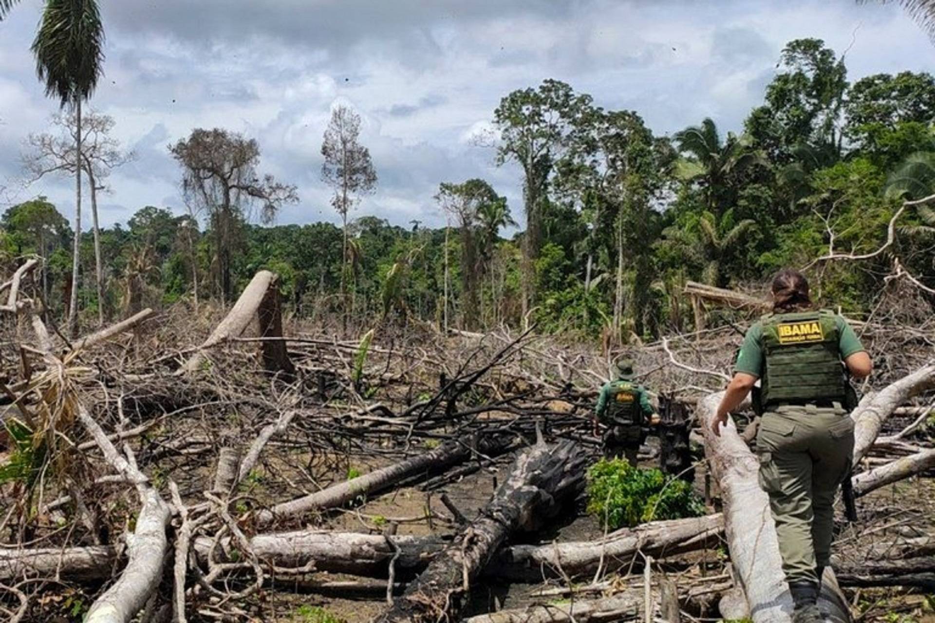 desmatamento terras indígenas Amazônia
