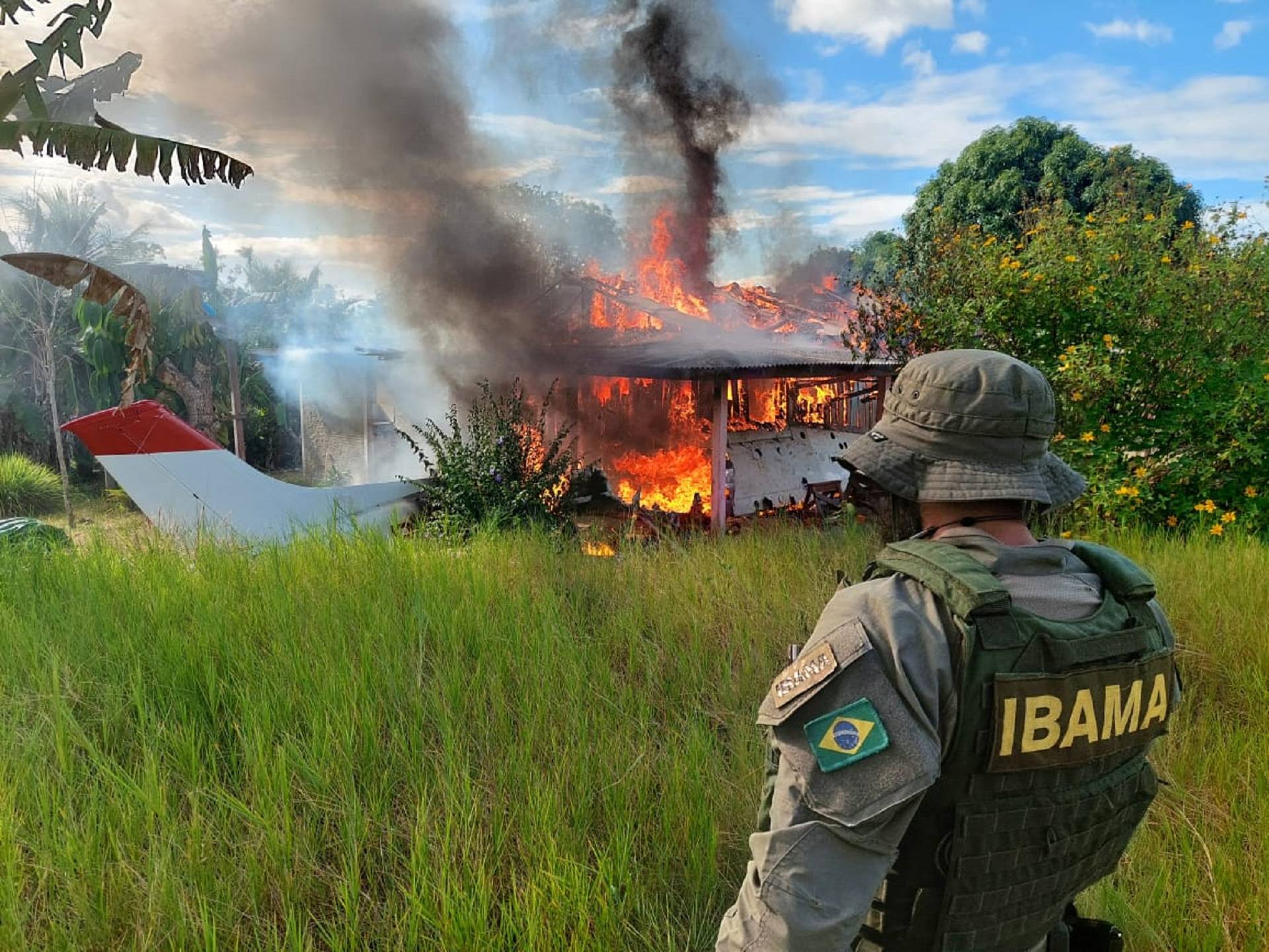 Tragédia anunciada: destruição da Amazônia será “catastrófica” para o  planeta, alertam cientistas – Jornal da USP