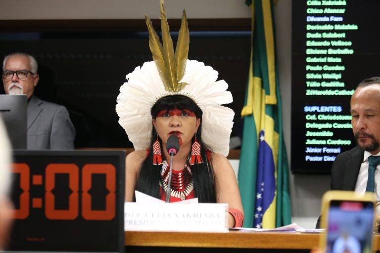 Célia Xabriabá será a presidenta da Comissão da Amazônia, no Congresso Nacional