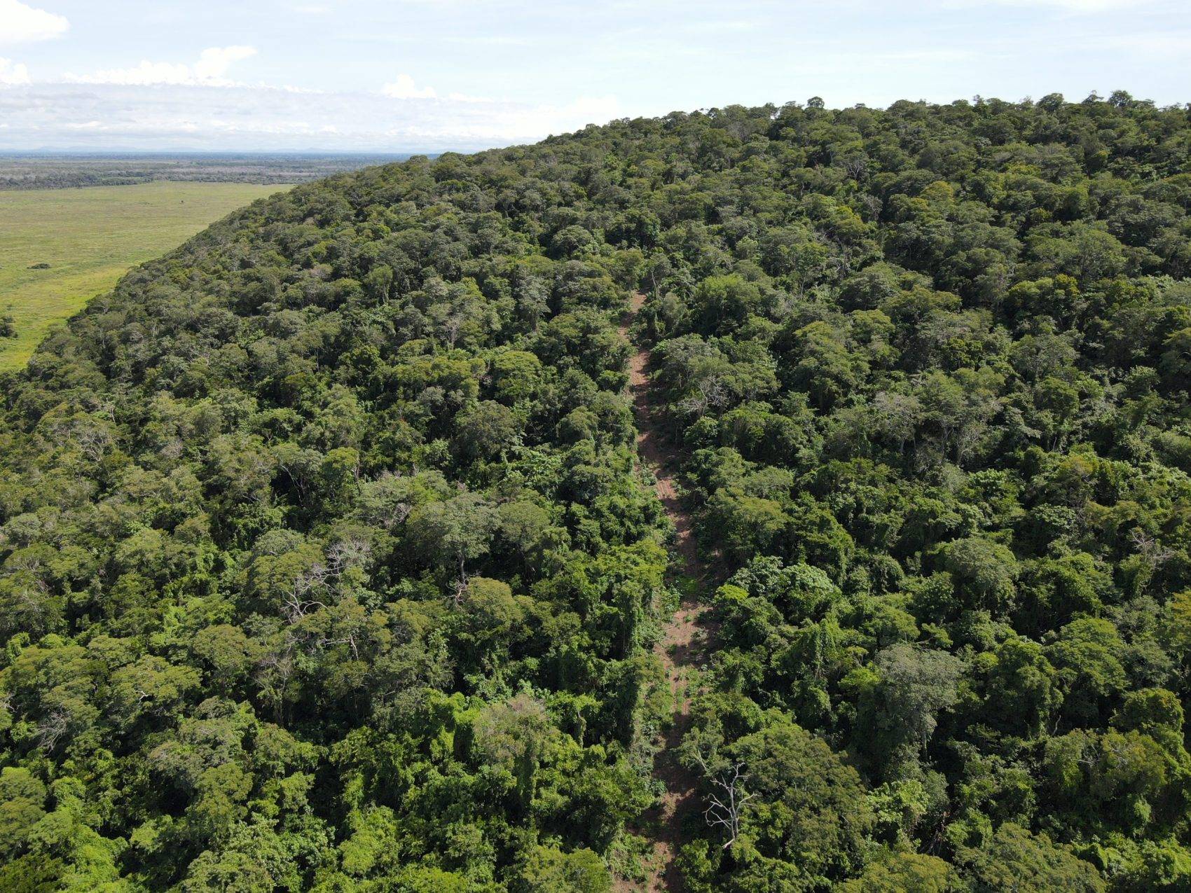 Garimpo ilegal no Pantanal é alvo de investigação pela Polícia Federal 