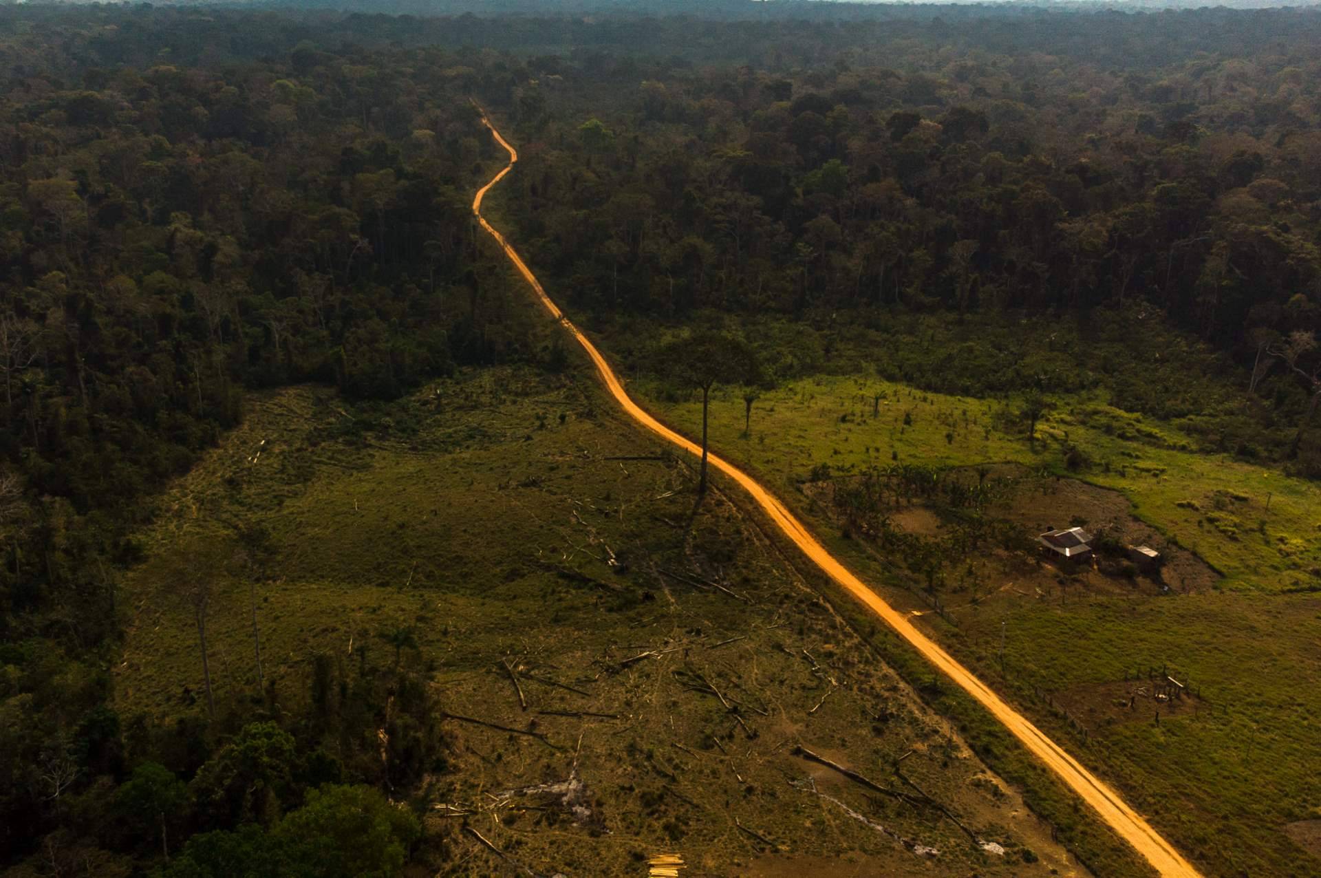 Contraditoriamente, interesse no mercado de carbono vem ressuscitando conflitos agrários na Amazônia