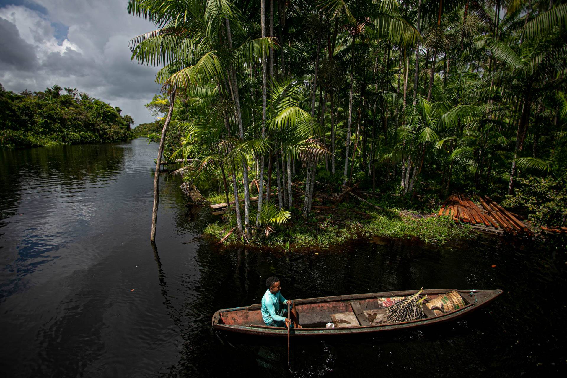 O coletor de açaí Jesus Silva, 23 anos, morador da comunidade ribeirinha de São José, pega açaí em seu barco ao longo do rio perto de Melgaço, a sudoeste da Ilha de Marajó, estado do Pará, Brasil. Foto: Tarso Sarraf / AFP
