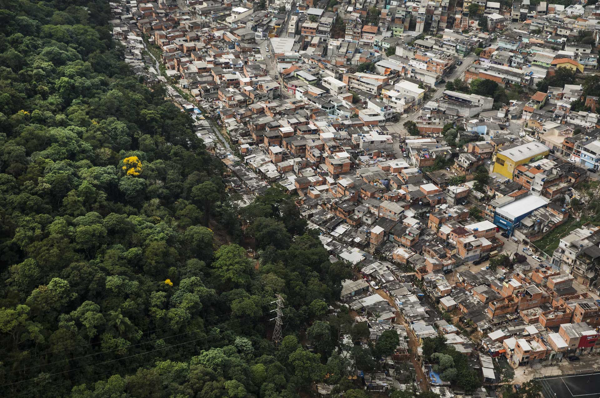 Vista aérea da serra da Cantareira, no bairro Jardim Peri Novo, zona norte de São Paulo. Mata nativa é devastada por invasões sem controle devido ao  crescimento populacional na região. Foto: Eduardo Knapp / Folhapress