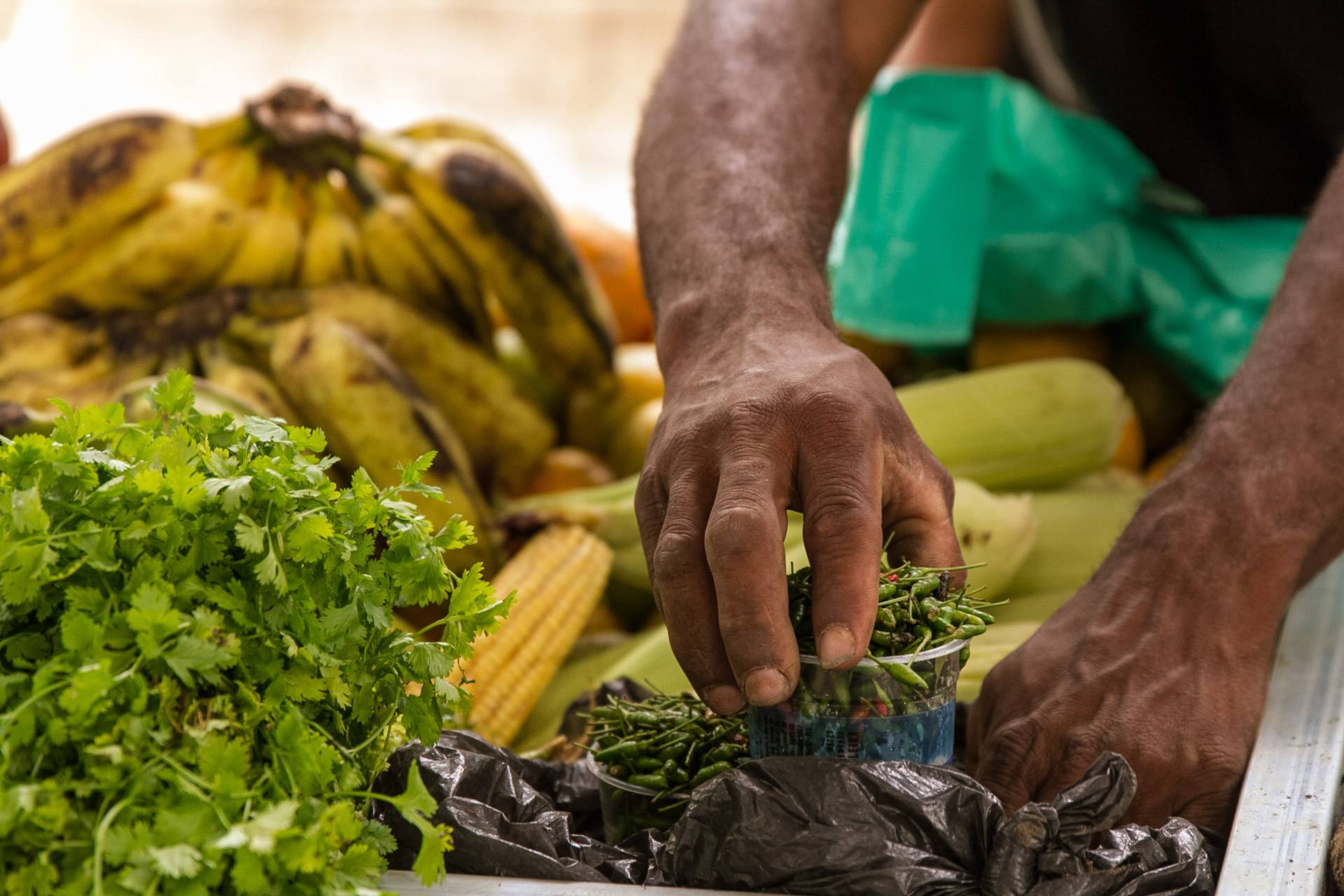 Feira Estadual da Reforma Agrária. Foto: Daniela Fonseca Moura