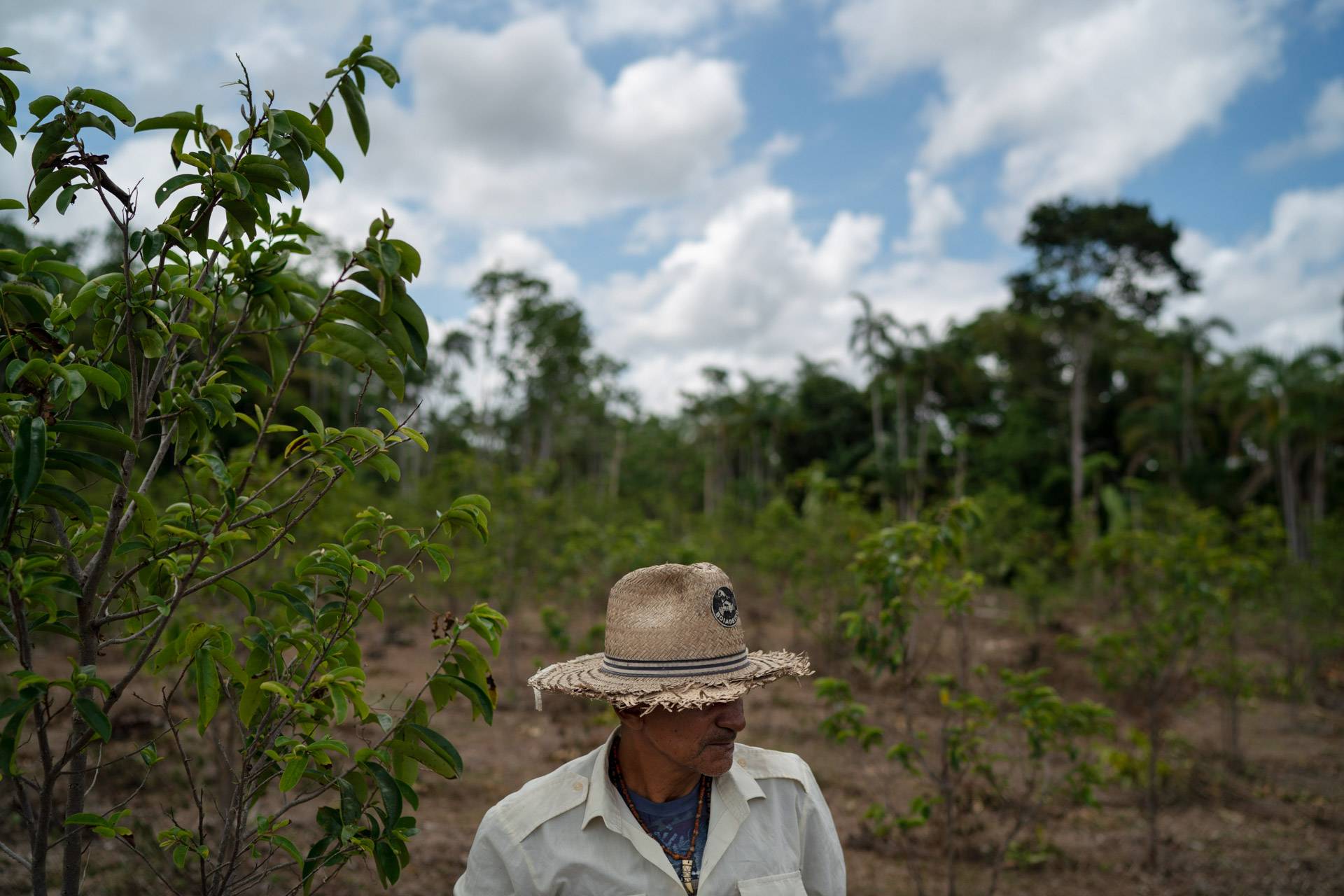 Paulo Bezerra, membro do povo indígena Munduruku, trabalha em sua plantação de frutas na aldeia de Acaizal, em Santarém, no estado do Pará, Brasil. O líder indígena de 56 anos afirma que agricultores de Mato Grosso e de outros estados estão usando tratores para derrubar árvores perto de sua aldeia e tentam intimidá-los para que fiquem em silêncio. Foto: Leo Correa / AP Photo