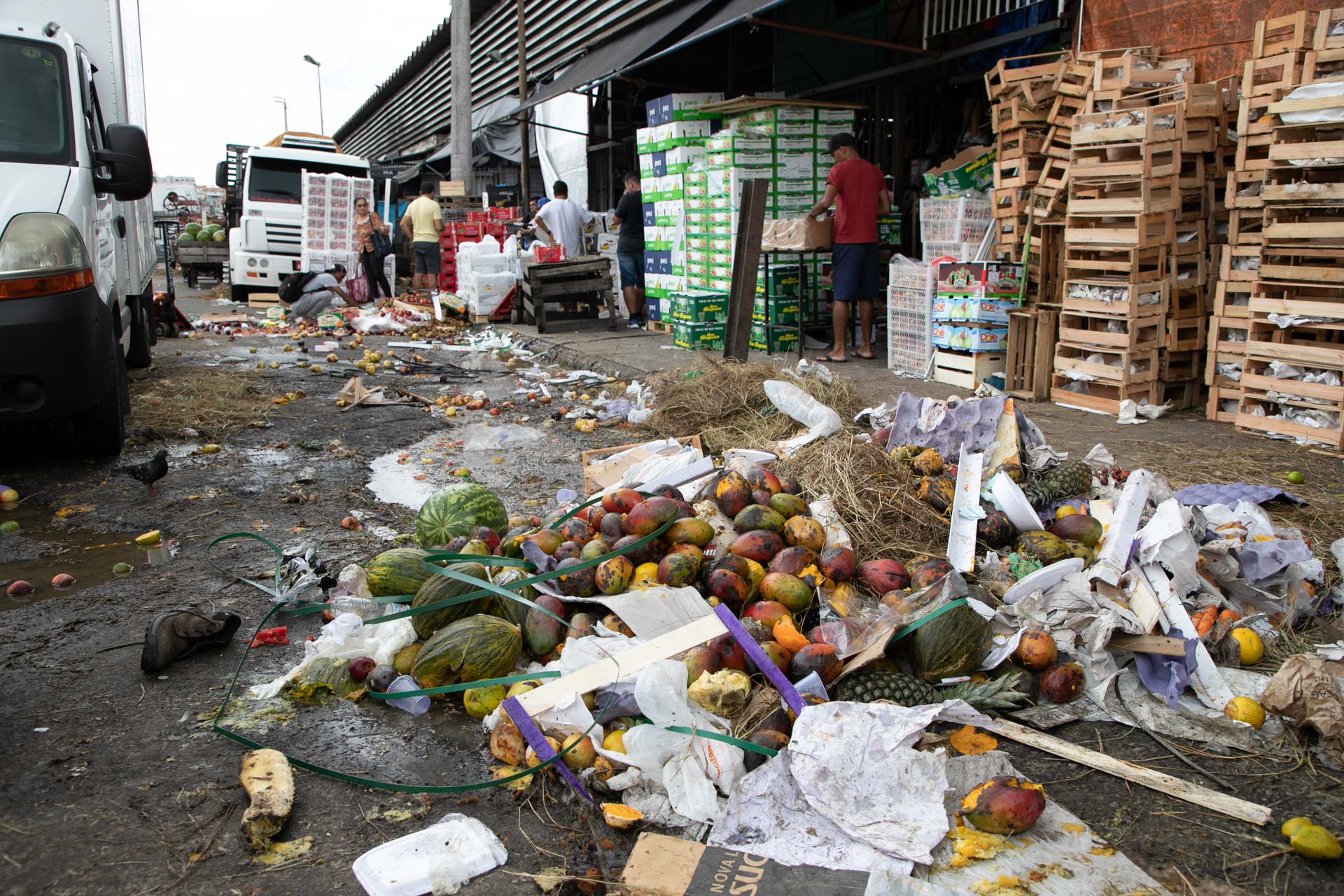 Ceagesp tem acúmulo de lixo e alimentos descartados. É possível ver muita coisa descartada perto dos boxes e onde os caminhões descarregam produtos, no estacionamento e entre os carros. Foto: José Lazarete Júnior / Fotoarena / Folhapress